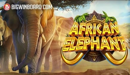 African Elephant