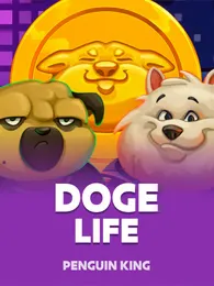 Doge Life