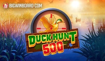 Duck Hunt 500