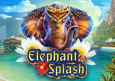 Elephant Splash