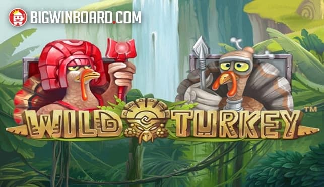 Wild Turkey